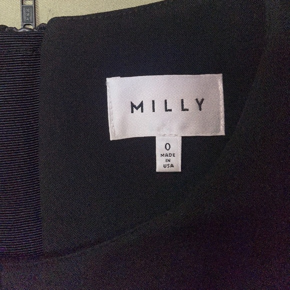 Milly Drop Waist Pleated Skirt Dress, Size 0 - Picture 8 of 8